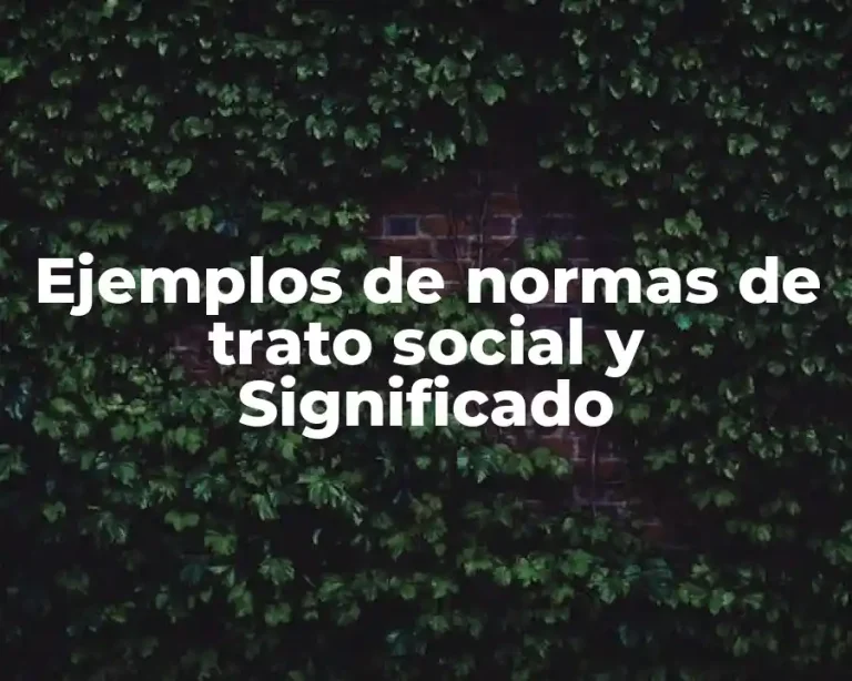 Ejemplos de normas de trato social y Significado