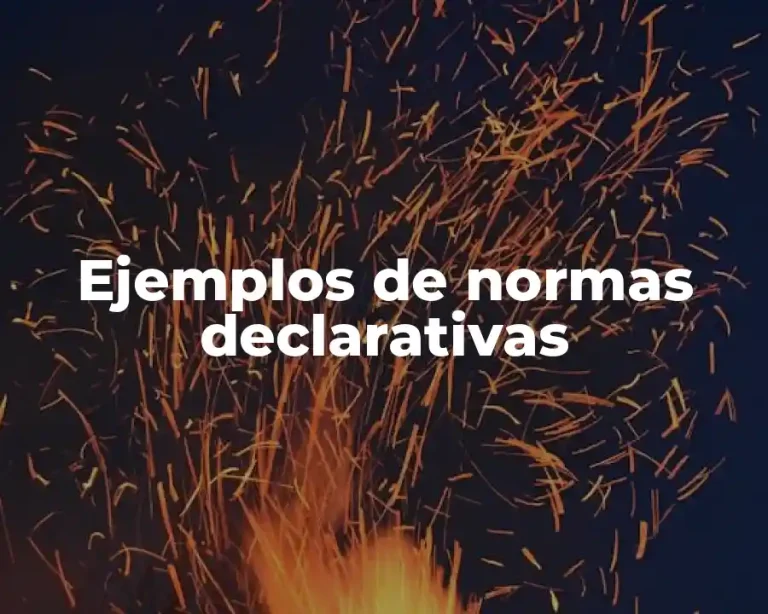 Ejemplos de normas declarativas