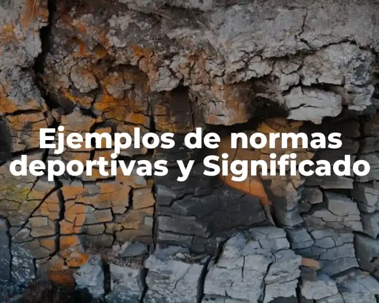 Ejemplos de normas deportivas y Significado