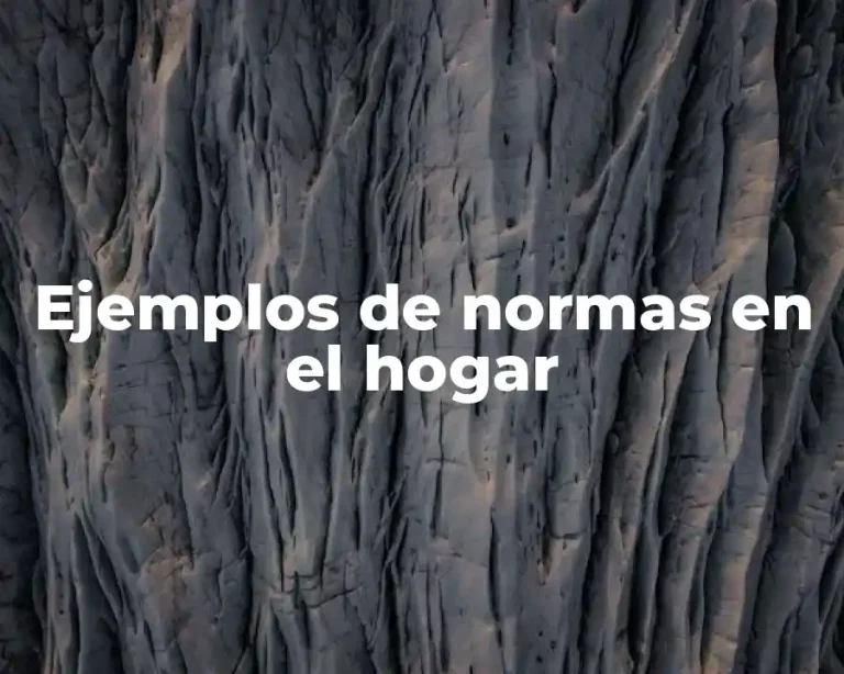 Ejemplos de normas en el hogar