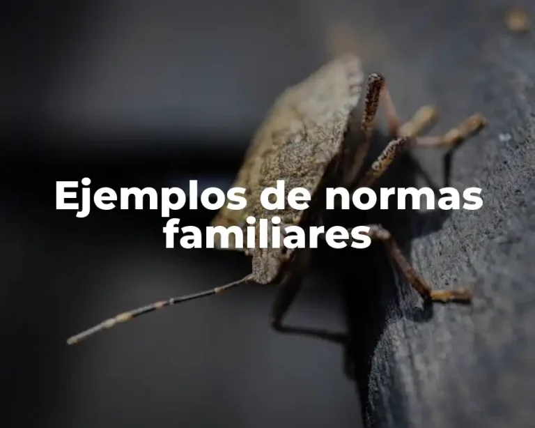 Ejemplos de normas familiares