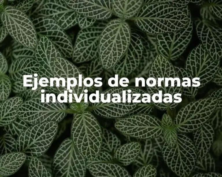 Ejemplos de normas individualizadas
