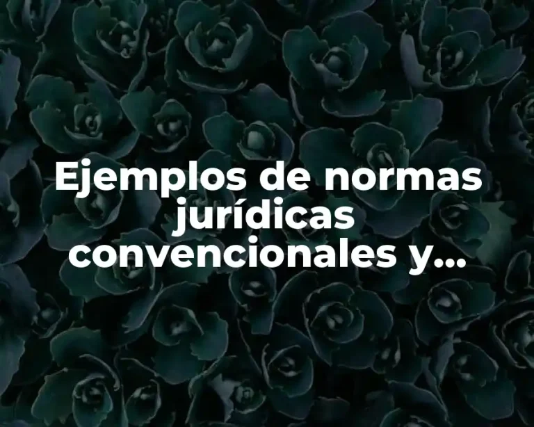 Ejemplos de normas jurídicas convencionales y morales