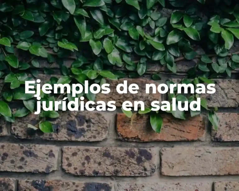 Ejemplos de normas jurídicas en salud