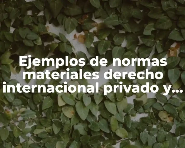 Ejemplos de normas materiales derecho internacional privado y Significado