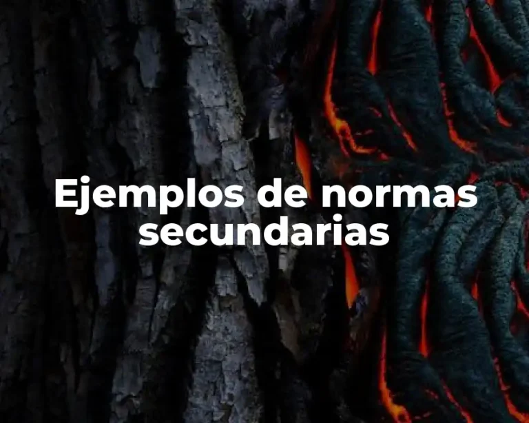 Ejemplos de normas secundarias