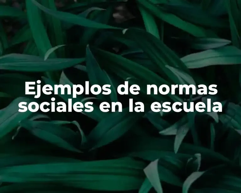 Ejemplos de normas sociales en la escuela