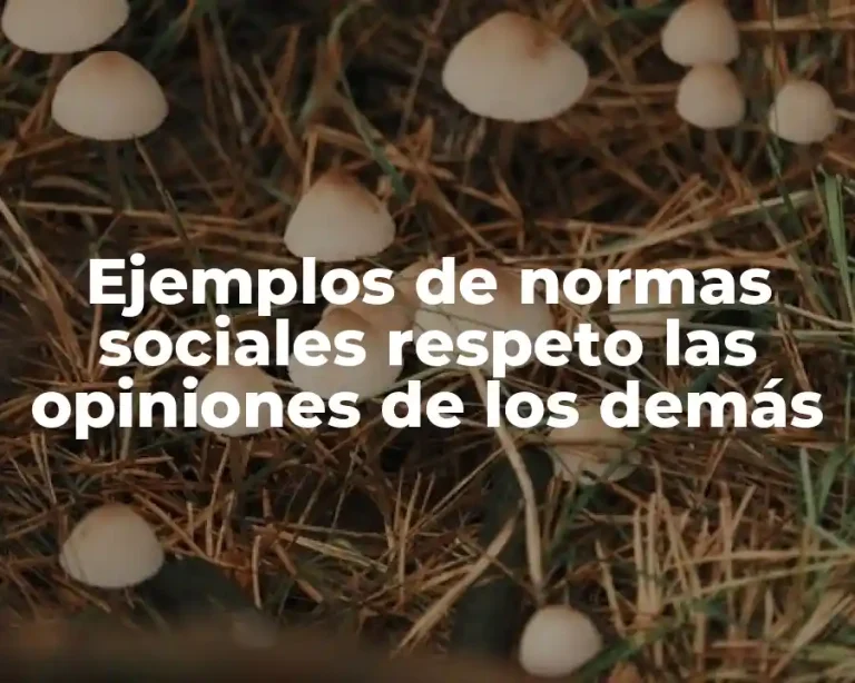 Ejemplos de normas sociales respeto las opiniones de los demás