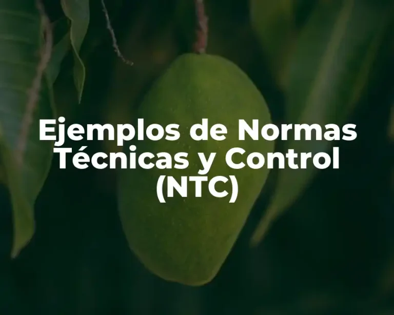 Ejemplos de Normas Técnicas y Control (NTC)