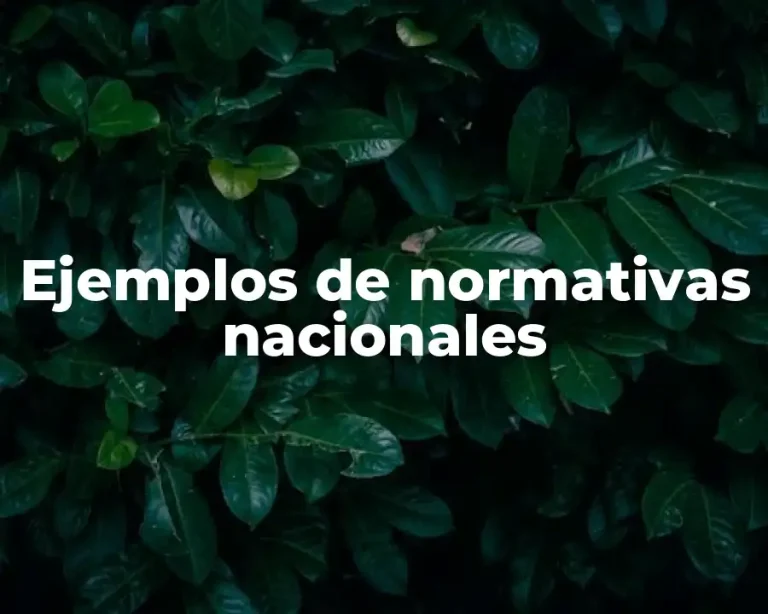 Ejemplos de normativas nacionales