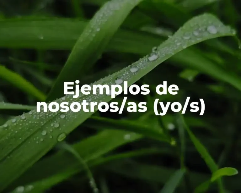 Ejemplos de nosotros/as (yo/s)