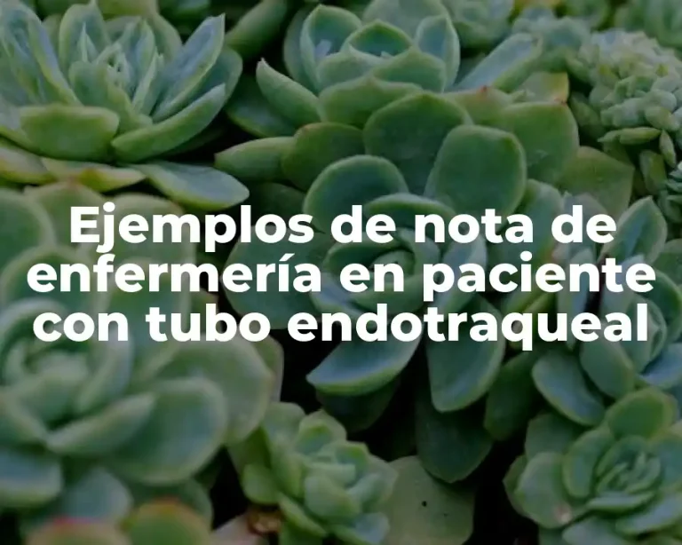 Ejemplos de nota de enfermería en paciente con tubo endotraqueal