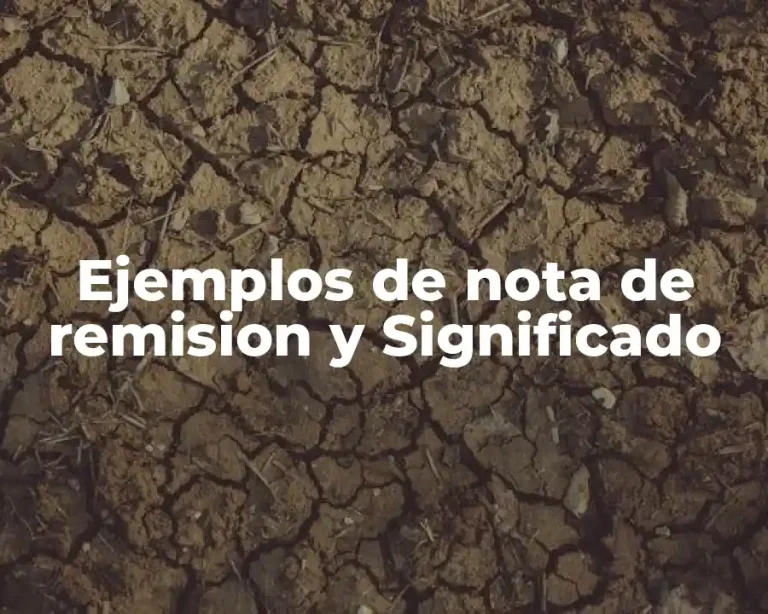 Ejemplos de nota de remision y Significado