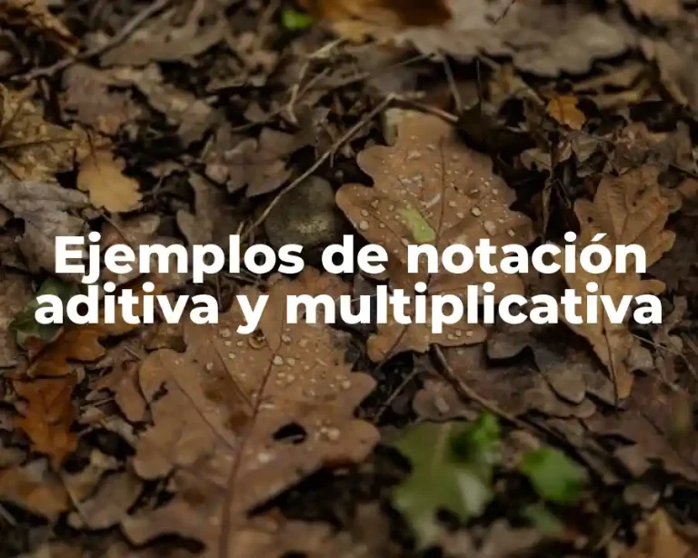 Ejemplos de notación aditiva y multiplicativa
