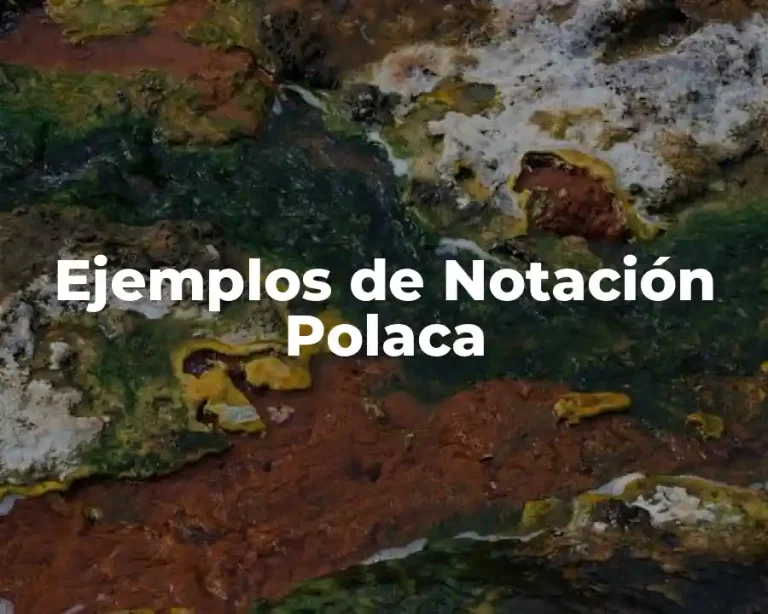 Ejemplos de Notación Polaca