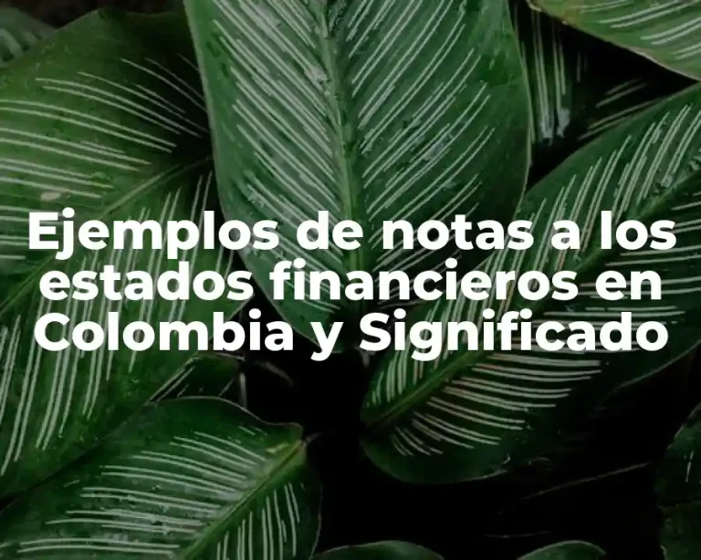 Ejemplos de notas a los estados financieros en Colombia y Significado