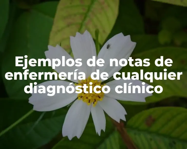 Ejemplos de notas de enfermería de cualquier diagnóstico clínico