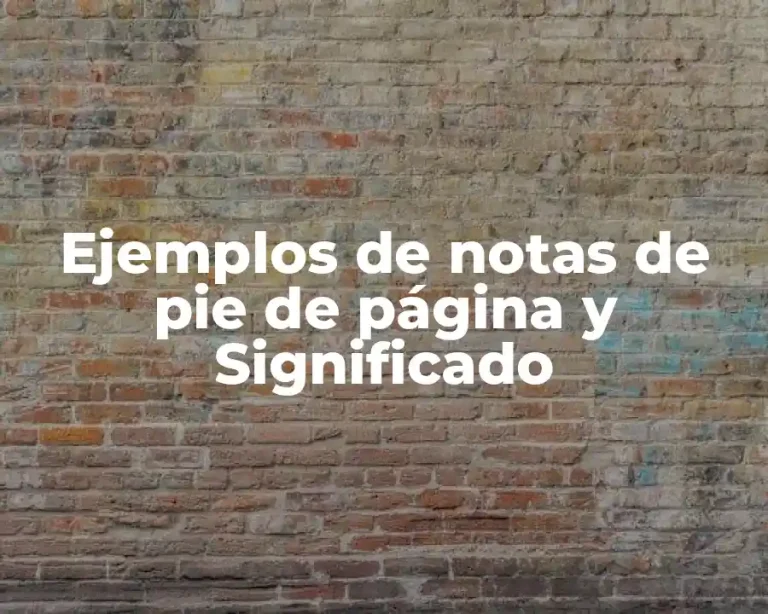 Ejemplos de notas de pie de página y Significado