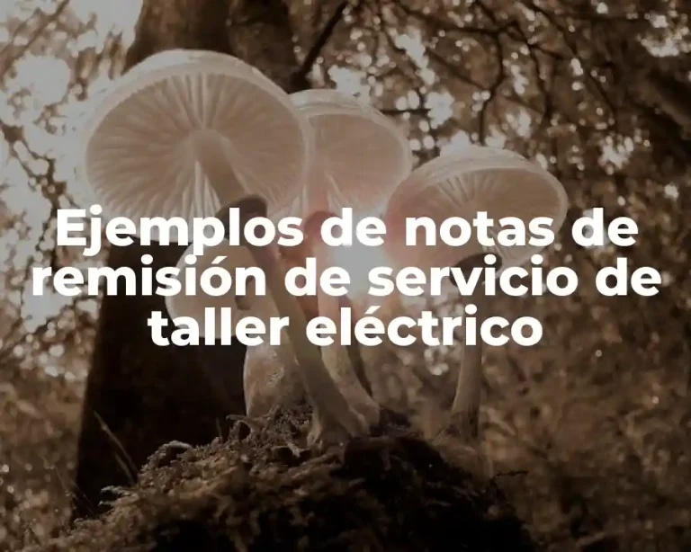 Ejemplos de notas de remisión de servicio de taller eléctrico