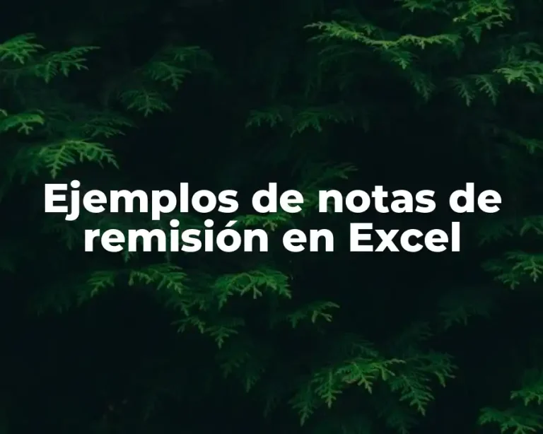 Ejemplos de notas de remisión en Excel