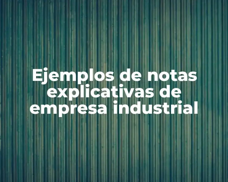 Ejemplos de notas explicativas de empresa industrial