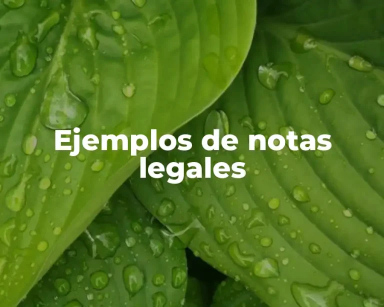 Ejemplos de notas legales