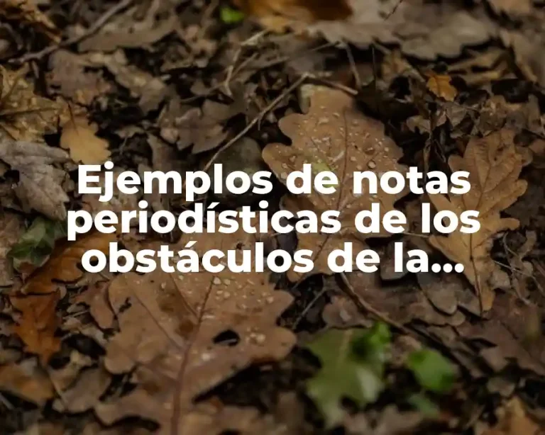 Ejemplos de notas periodísticas de los obstáculos de la democracia y Significado