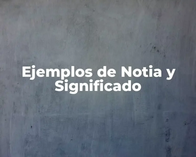 Ejemplos de Notia y Significado