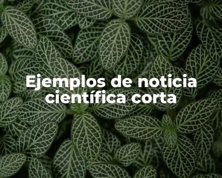 Ejemplos de noticia científica corta