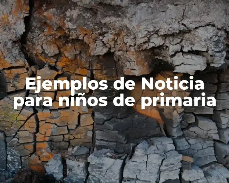 Ejemplos de Noticia para niños de primaria