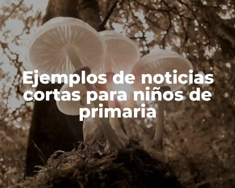 Ejemplos de noticias cortas para niños de primaria