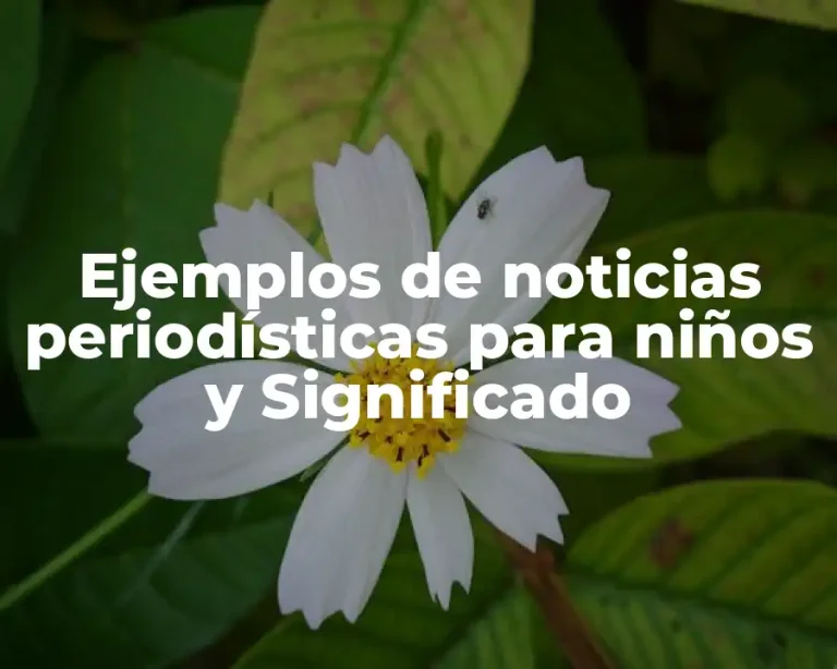 Ejemplos de noticias periodísticas para niños y Significado