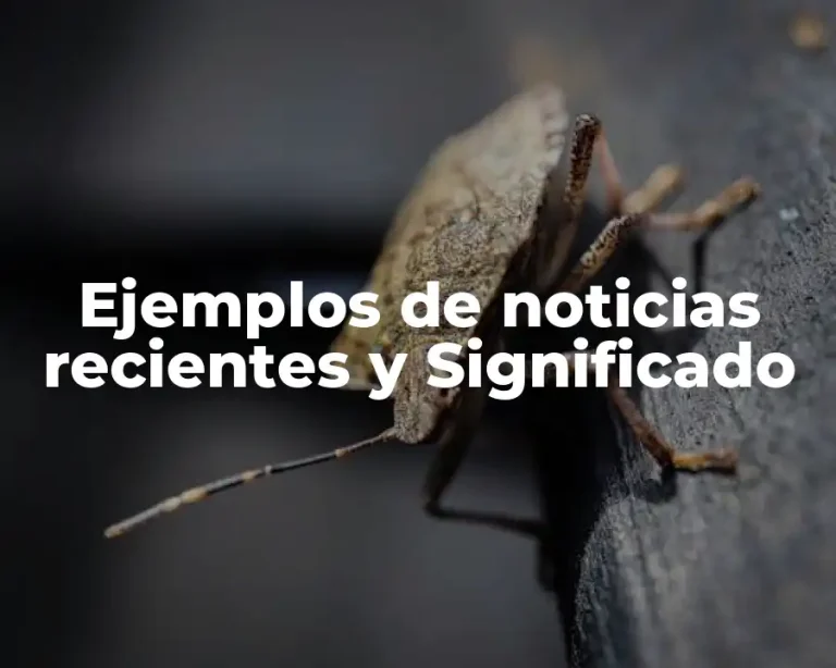 Ejemplos de noticias recientes y Significado