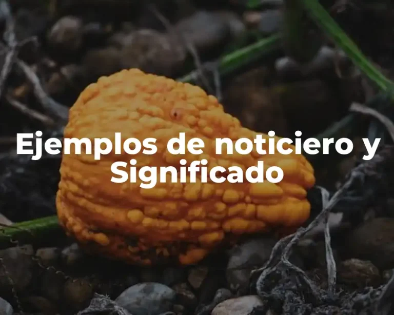 Ejemplos de noticiero y Significado