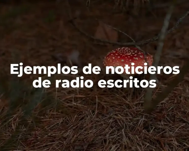 Ejemplos de noticieros de radio escritos