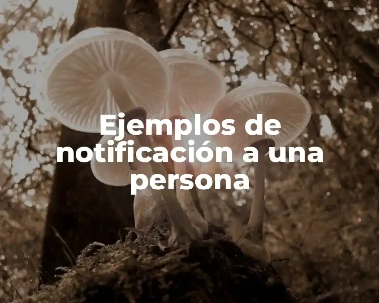 Ejemplos de notificación a una persona