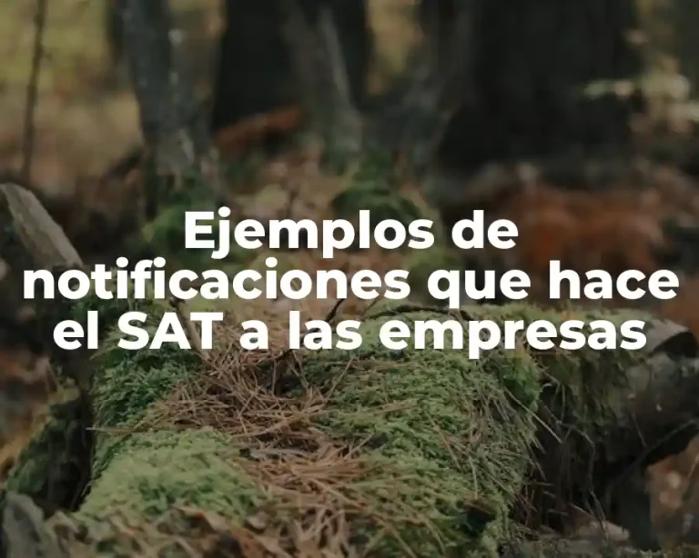 Ejemplos de notificaciones que hace el SAT a las empresas
