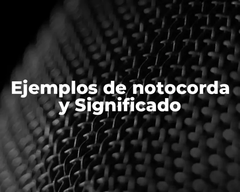 Ejemplos de notocorda y Significado