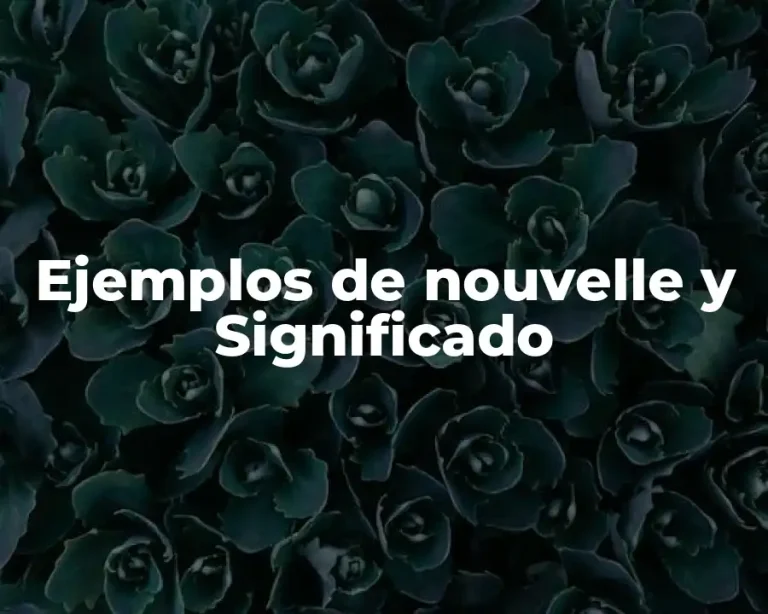 Ejemplos de nouvelle y Significado
