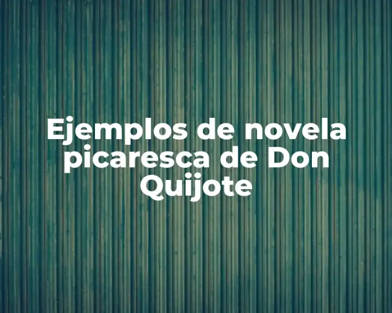 Ejemplos de novela picaresca de Don Quijote
