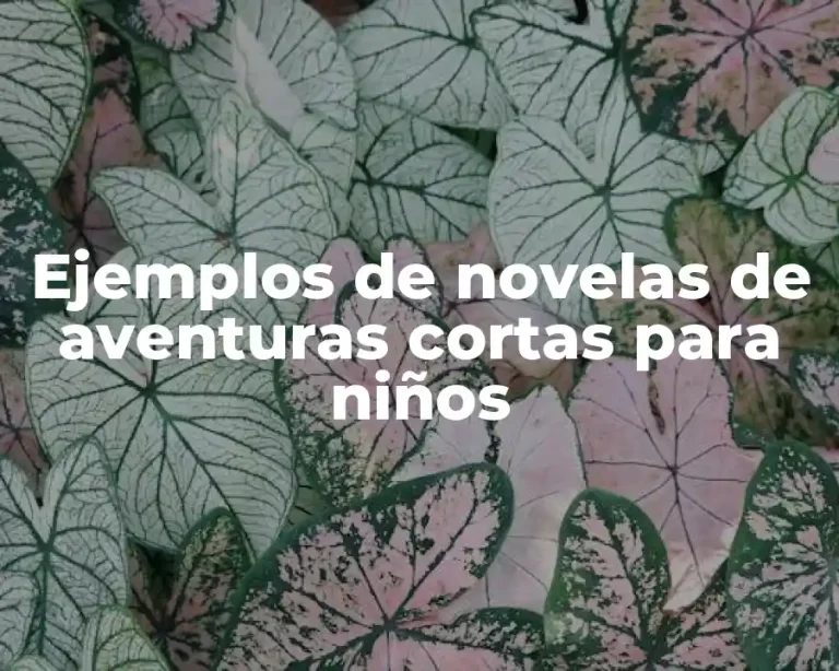 Ejemplos de novelas de aventuras cortas para niños