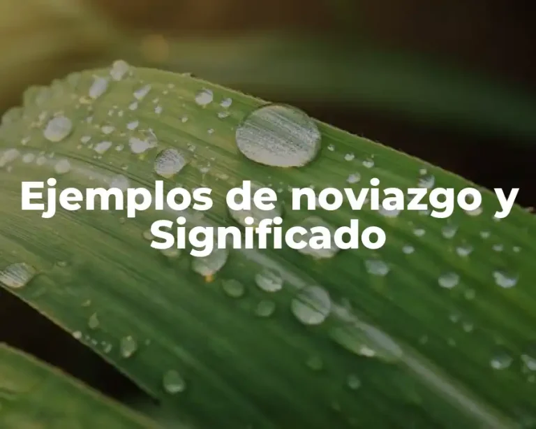 Ejemplos de noviazgo y Significado
