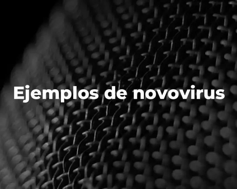 Ejemplos de novovirus