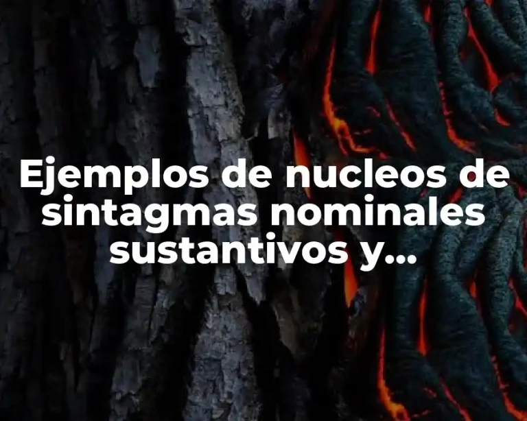 Ejemplos de nucleos de sintagmas nominales sustantivos y pronombres
