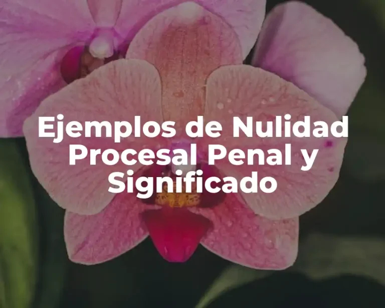 Ejemplos de Nulidad Procesal Penal y Significado