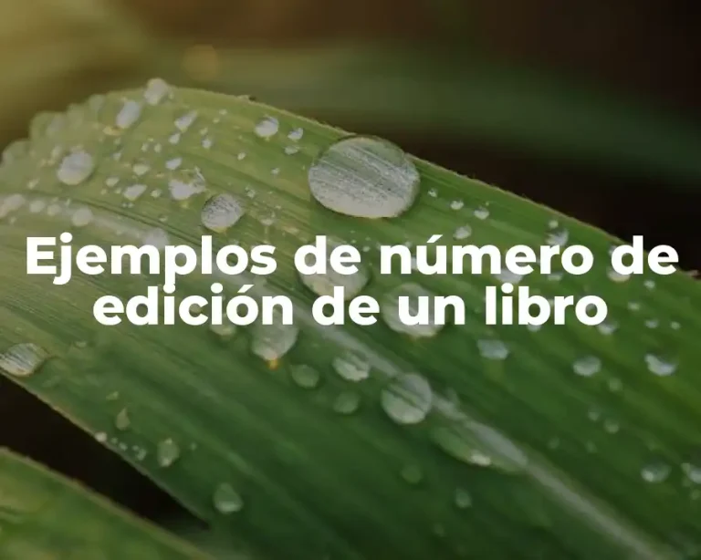 Ejemplos de número de edición de un libro