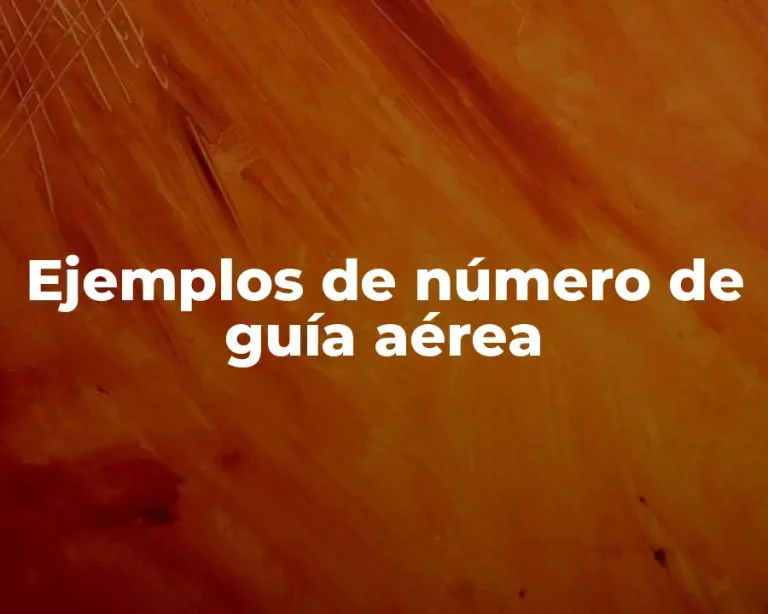 Ejemplos de número de guía aérea