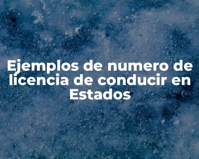 Ejemplos de numero de licencia de conducir en Estados