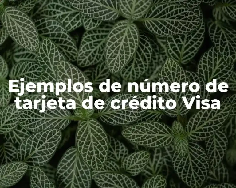 Ejemplos de número de tarjeta de crédito Visa