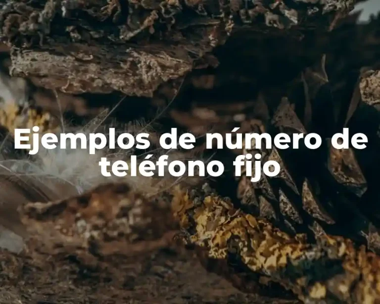 Ejemplos de número de teléfono fijo